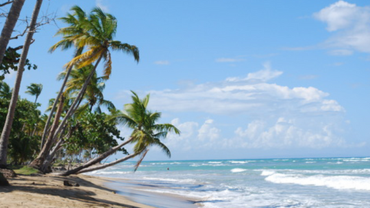 El Sol, la Playa...Fuente: NaturallyCurly.com